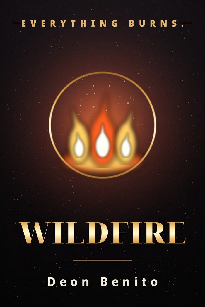Wildfire — book cover
